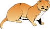 Orange Weasel Clip Art